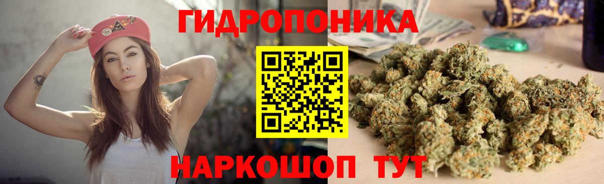 Конопля гибрид Долгопрудный